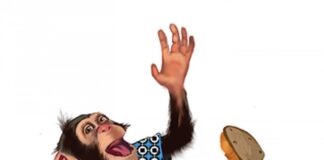 Сценаристчето на конци