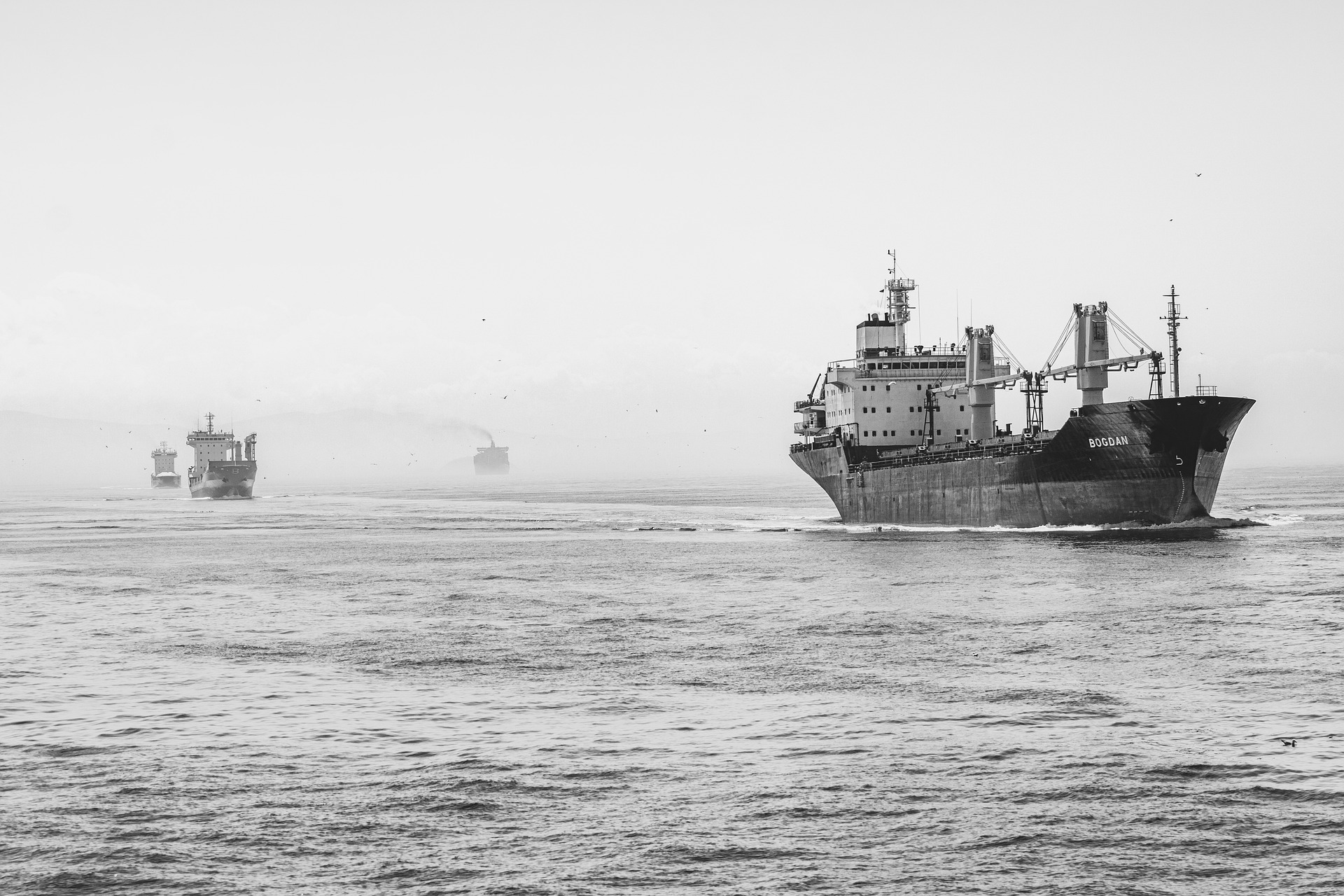 Два товарни кораба са пристигнали на украинско пристанище след като