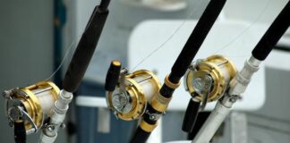 Въдици, рибарство