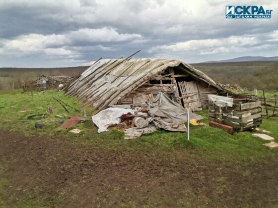 Постройки в спорния имот