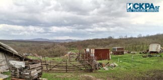 Постройки в спорния имот