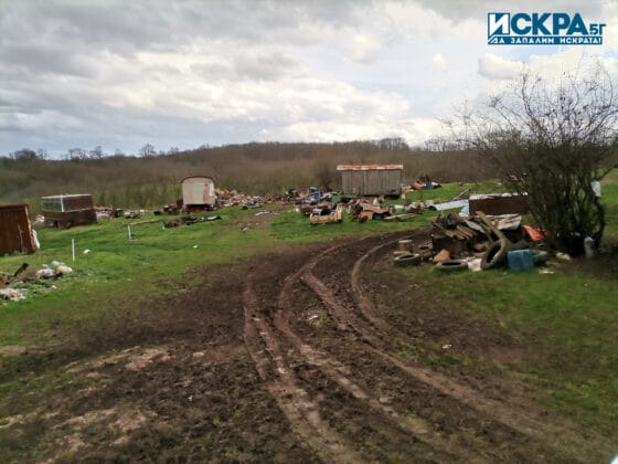 Постройки в спорния имот