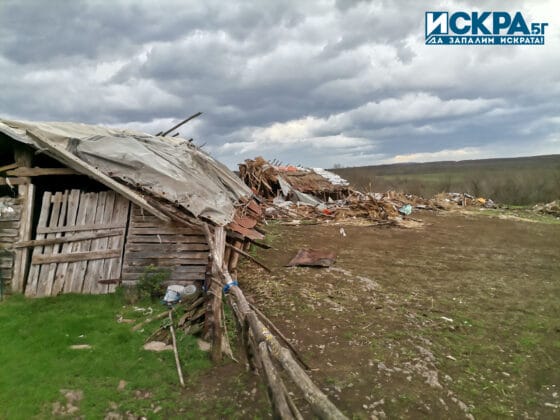 Постройки в спорния имот