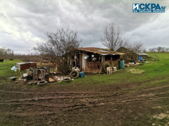 Постройки в спорния имот