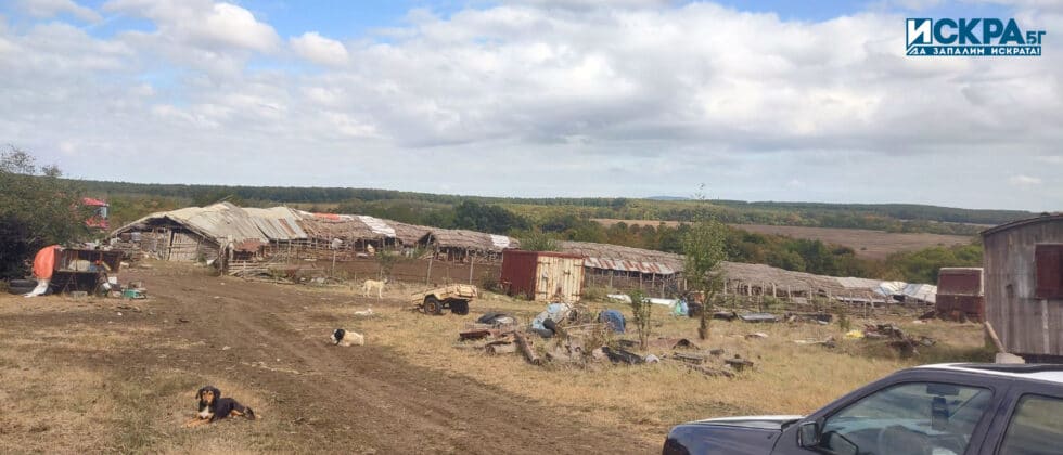 Постройки в спорния имот