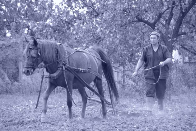 Стефан Чаков и неговият свят