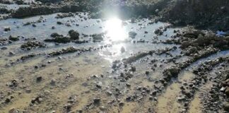 Незаконен добив на баластра