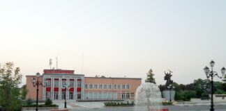 Община Борован