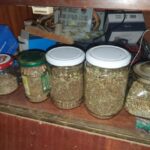 Буркани с марихуана