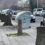 Отсечени дървета