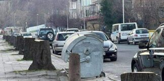 Отсечени дървета