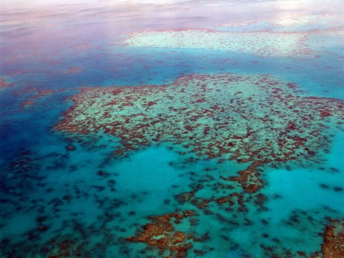 Големия бариерен риф, Австралия.