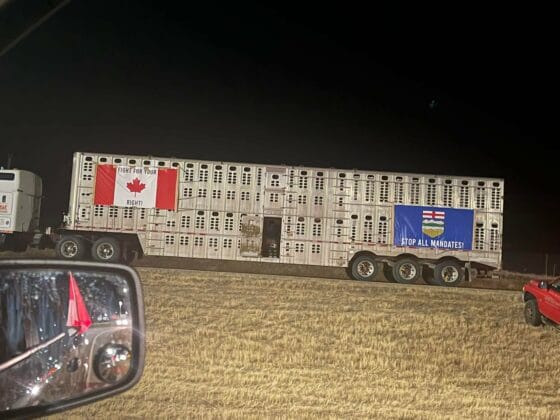 Конвой на свободата