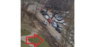 Зелена площ в кв. "Банишора" в София