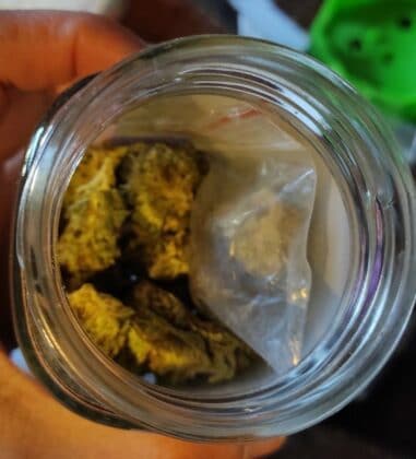 Наркооранжерия в Долно Линево