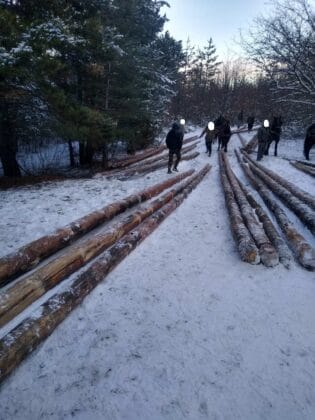 Задържани при акция срещу незаконния добив на дървесина