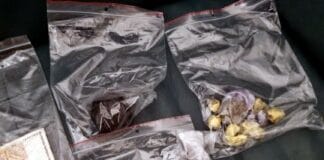 Намерени наркотици