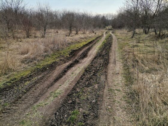 Състоянието и на двата пътя не е добро