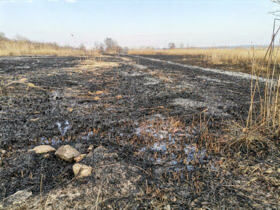 Част от изгорелите площи