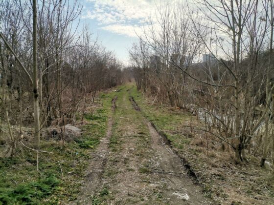 Състоянието и на двата пътя не е добро