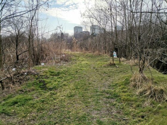 Състоянието и на двата пътя не е добро