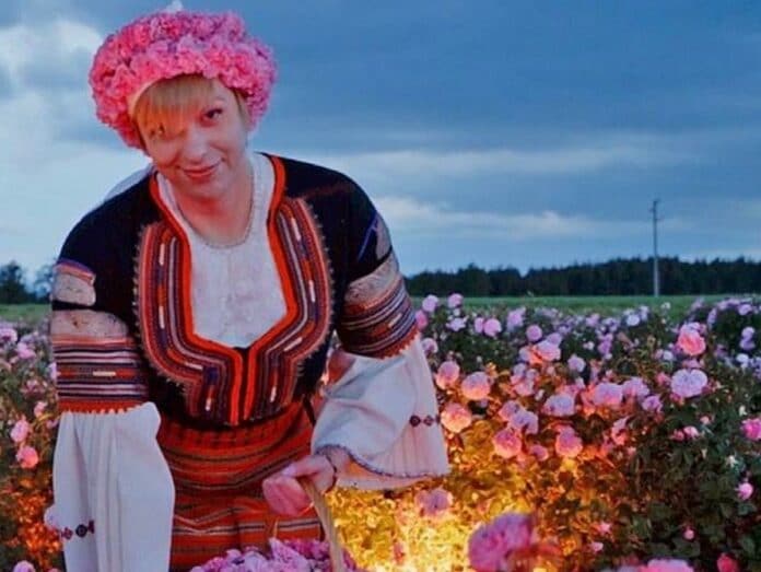 Гавра с творбите на Майстора, финансирана от държавата