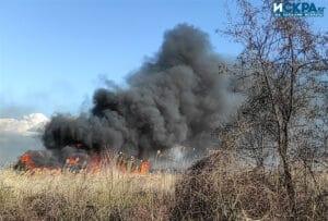 Горяща тръстика