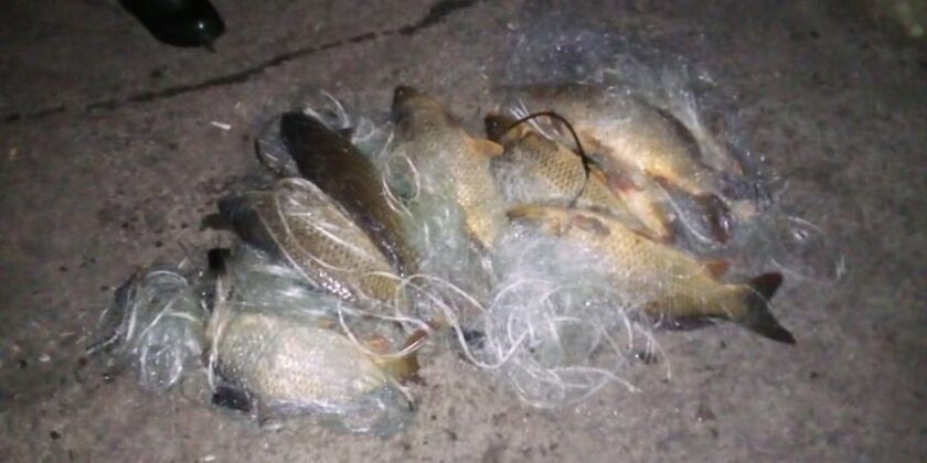 Акция на ИАРА