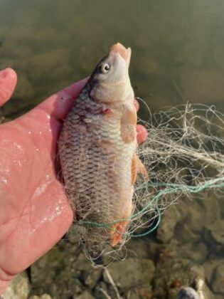 Акция на ИАРА