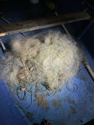 Акция на ИАРА