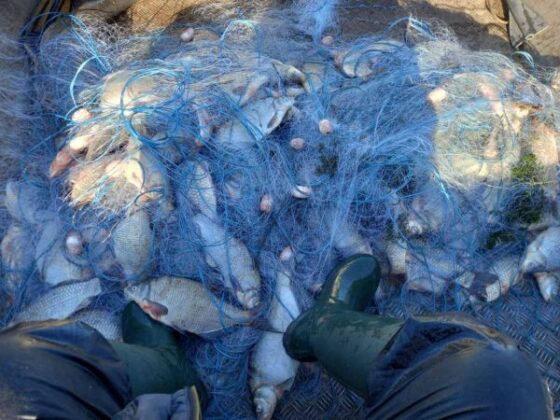 Акция на ИАРА