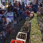 Украинци правят коктейли "Молотов"