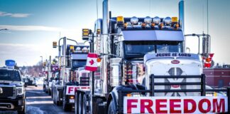 Конвой на свободата