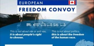 Конвой на свободата в Европа