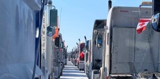 Конвой на свободата