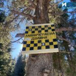 Лавинна опасност