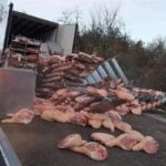 Катастрофа