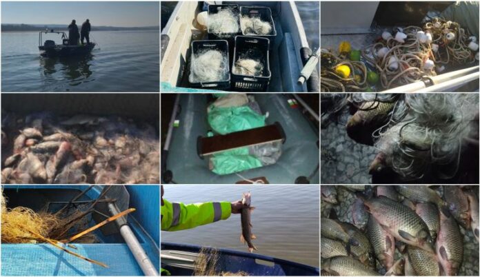 Множество успешни акции срещу бракониери