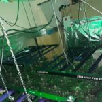 Наркооранжерия