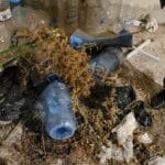 Наркооранжерия