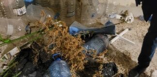 Наркооранжерия