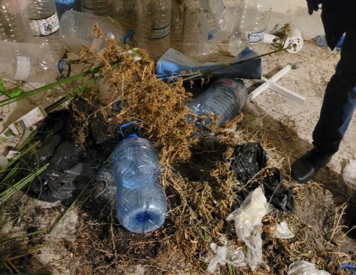 Наркооранжерия