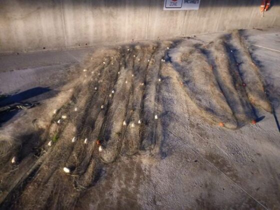 1 км мрежи, извадени от Поморийския залив