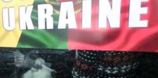 Куче от Украйна