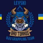 Боен клуб "Левски София" с инициатива за Украйна