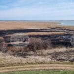 Пожар в "Дуранкулашко езеро"