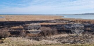 Пожар в "Дуранкулашко езеро"