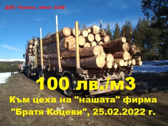 Измами с дървесина