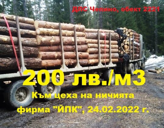 Измами с дървесина