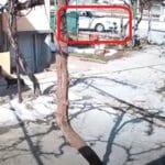 Лек автомобил